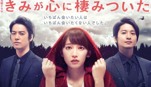 「きみが心に棲みついた」のドラマを見れる動画配信サイトは？全話無料でお試し視聴する方法！（第1話~10話＜最終回＞まで）