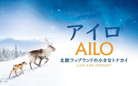 「アイロ 北欧ラップランドの小さなトナカイ」の映画が見れる動画配信サービスは？無料で視聴する方法