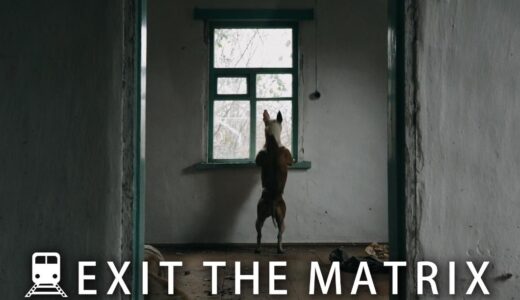 「Exit The Matrix」の映画が見れる動画配信サービスは？無料で視聴する方法